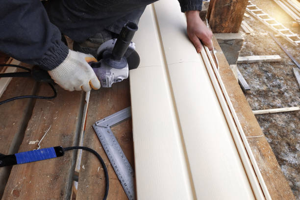Best Insulated Siding Installation  in , IA