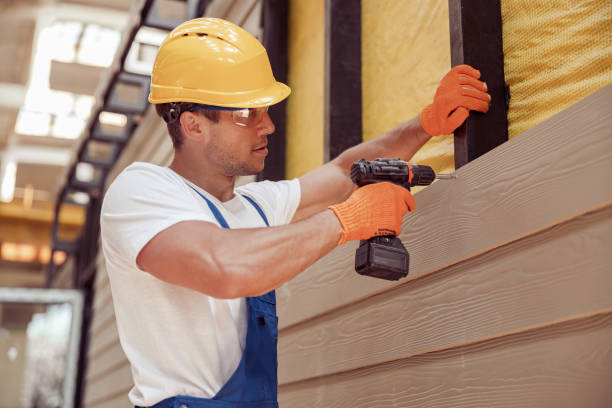 Best Steel Siding Installation  in , IA